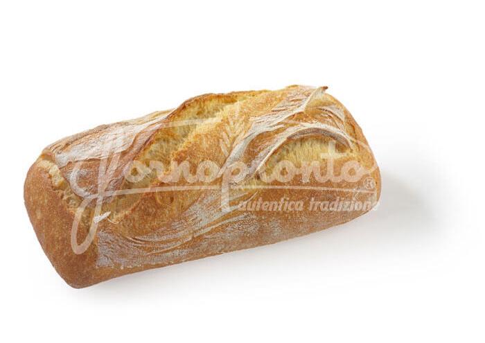 Ciabatta S.
